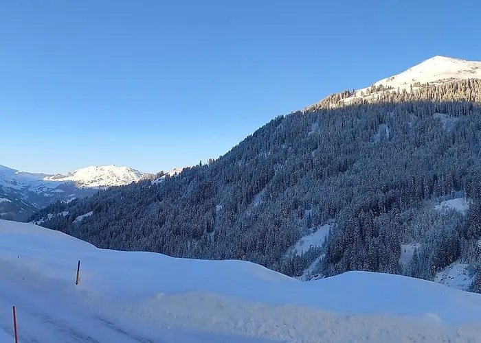 Bellawiese * Sankt Antönien